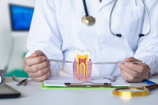 Best Emergency Tooth Extraction in Laflin, PA